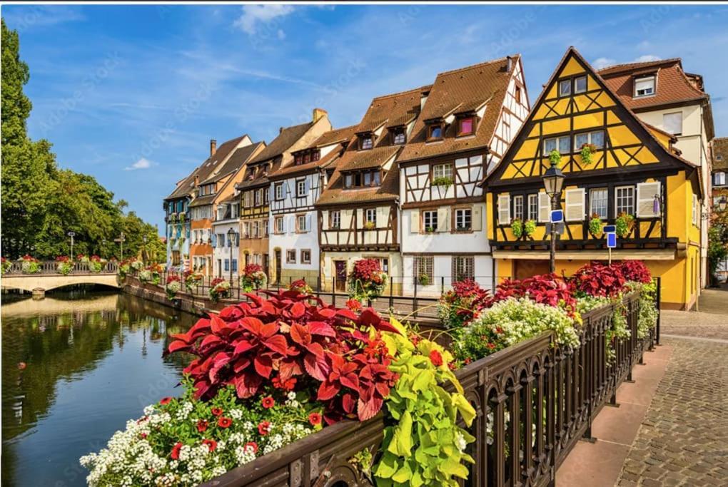 Apartamento Colmar Centre - Le Schickele Exterior foto